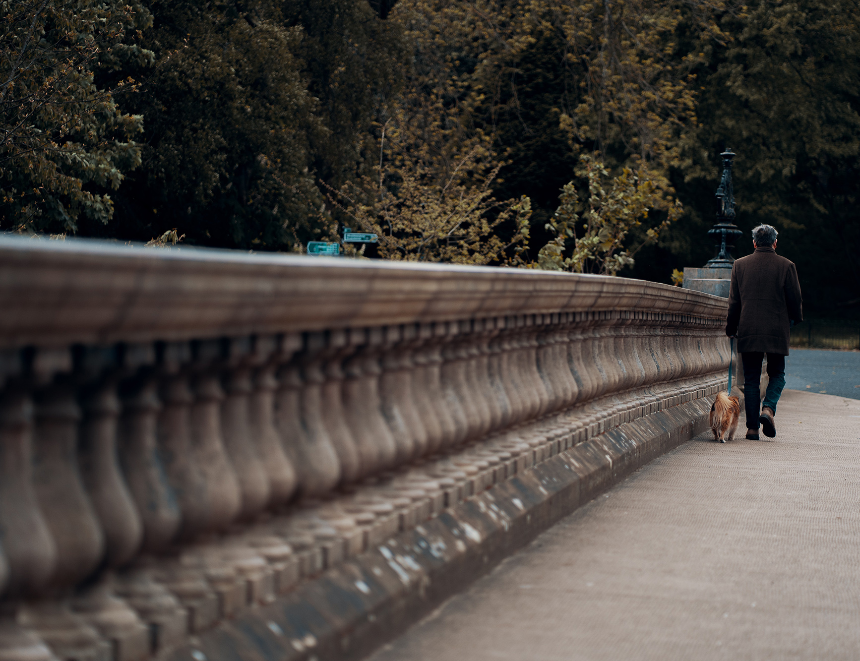 ross-sneddon-H0XUpepehXs-unsplash copy ross-sneddon-H0XUpepehXs-unsplash copy