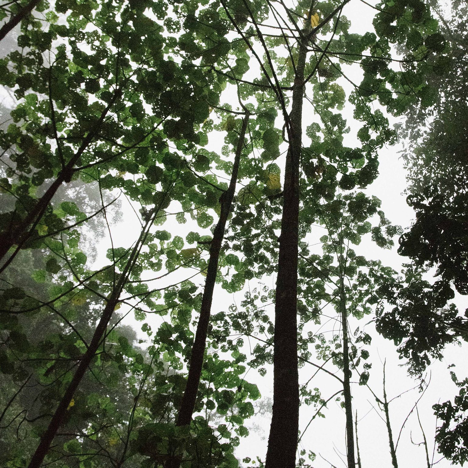 christina-victoria-craft-wuezEZps5YA-unsplash copy christina-victoria-craft-wuezEZps5YA-unsplash copy
